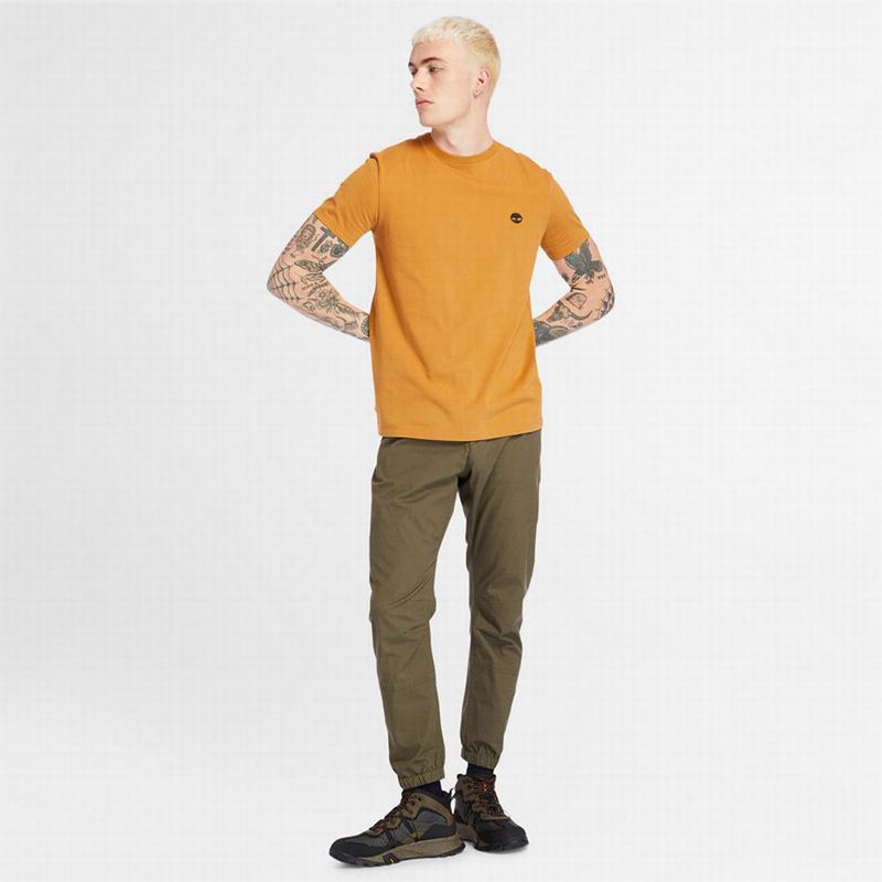Timberland Cropped Logo Majice Žute | 68235672
