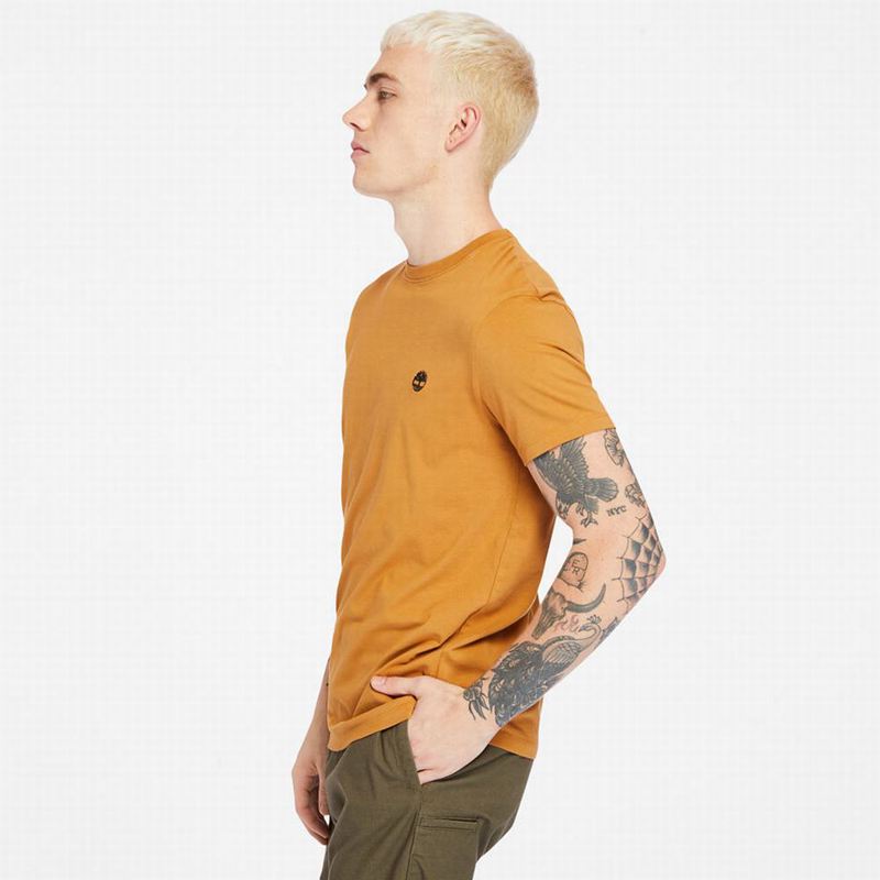 Timberland Cropped Logo Majice Žute | 68235672
