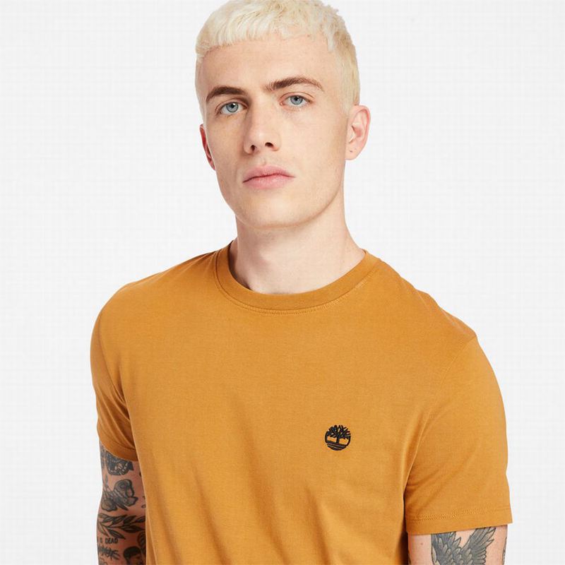 Timberland Cropped Logo Majice Žute | 68235672