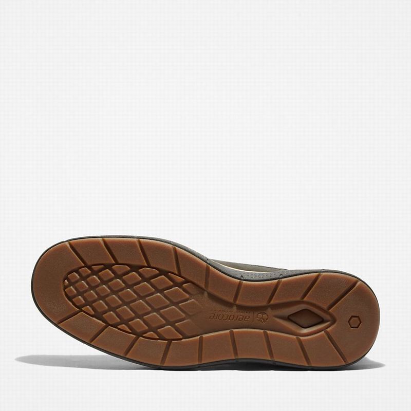Timberland Cross Mark Chukka Čizme Maslinasto Zelene | 4963400