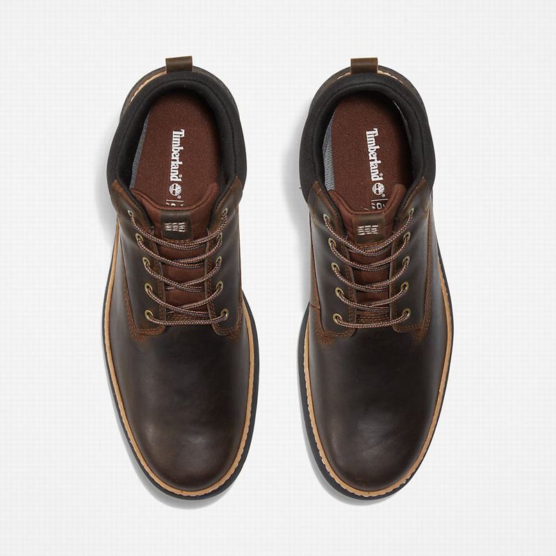 Timberland Cross Mark Gore-Tex Chukka Čizme Smeđe | 37925556