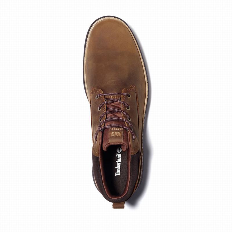 Timberland Cross Mark Gore-Tex Chukka Čizme Smeđe | 53257751