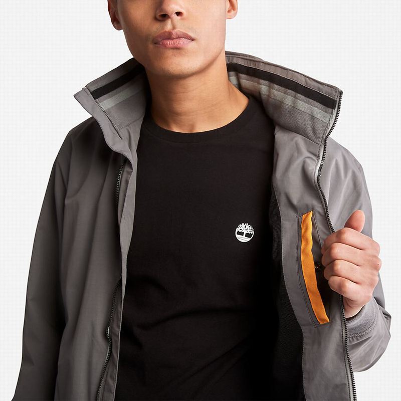 Timberland Down-Free Insulated Jakne Sive | 59095572
