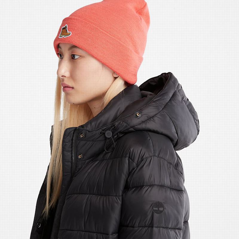 Timberland Down-Free Parka Crne | 47927804