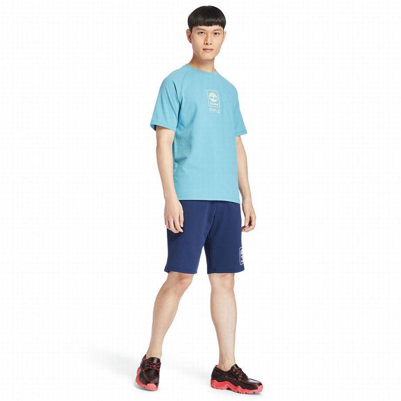 Timberland Dunstan River V-Neck Majice Plave | 7870103