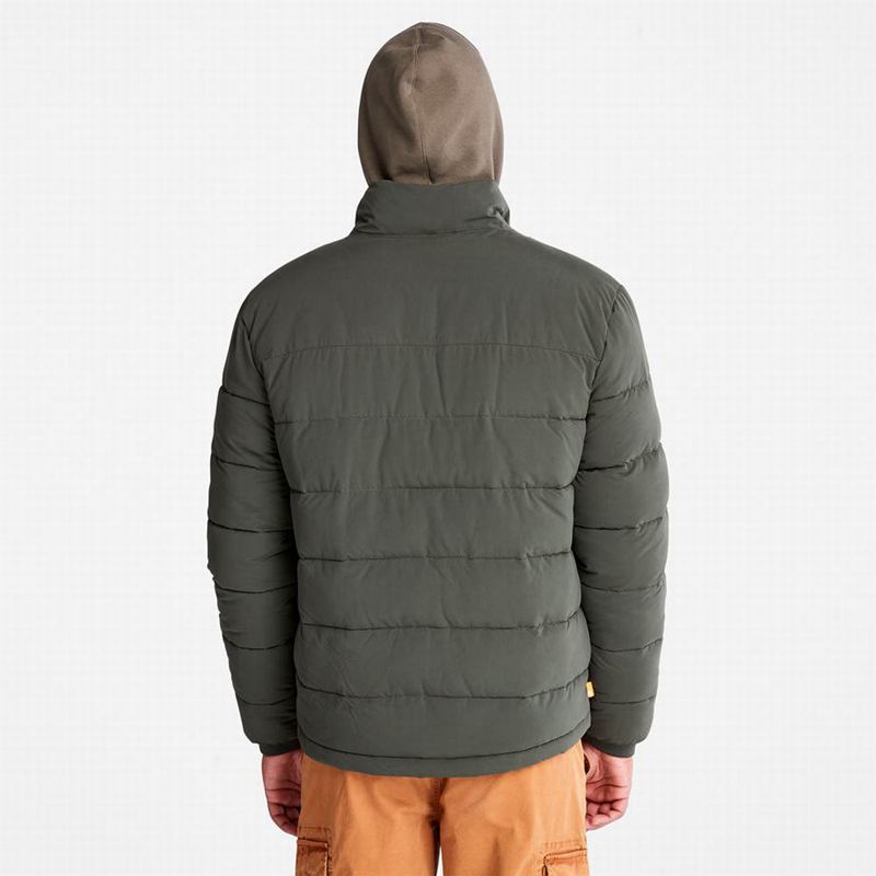 Timberland Eco Ready M65 Jakne Maslinasto Zelene | 94577075