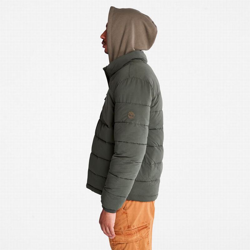 Timberland Eco Ready M65 Jakne Maslinasto Zelene | 94577075