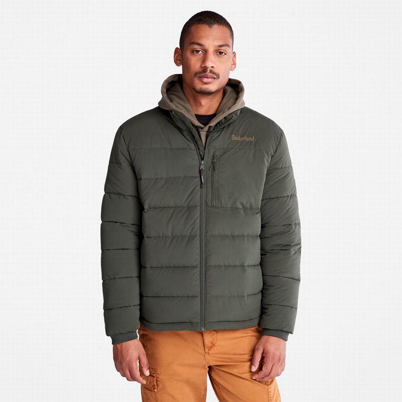 Timberland Eco Ready M65 Jakne Maslinasto Zelene | 94577075