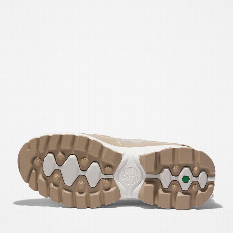 Timberland Edge EK+ Cipele Za Planinarenje Bež | 1405549