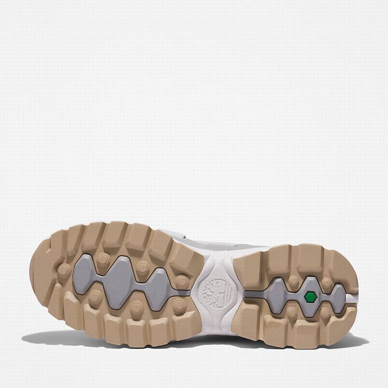 Timberland Edge EK+ Cipele Za Planinarenje Sive | 76634469