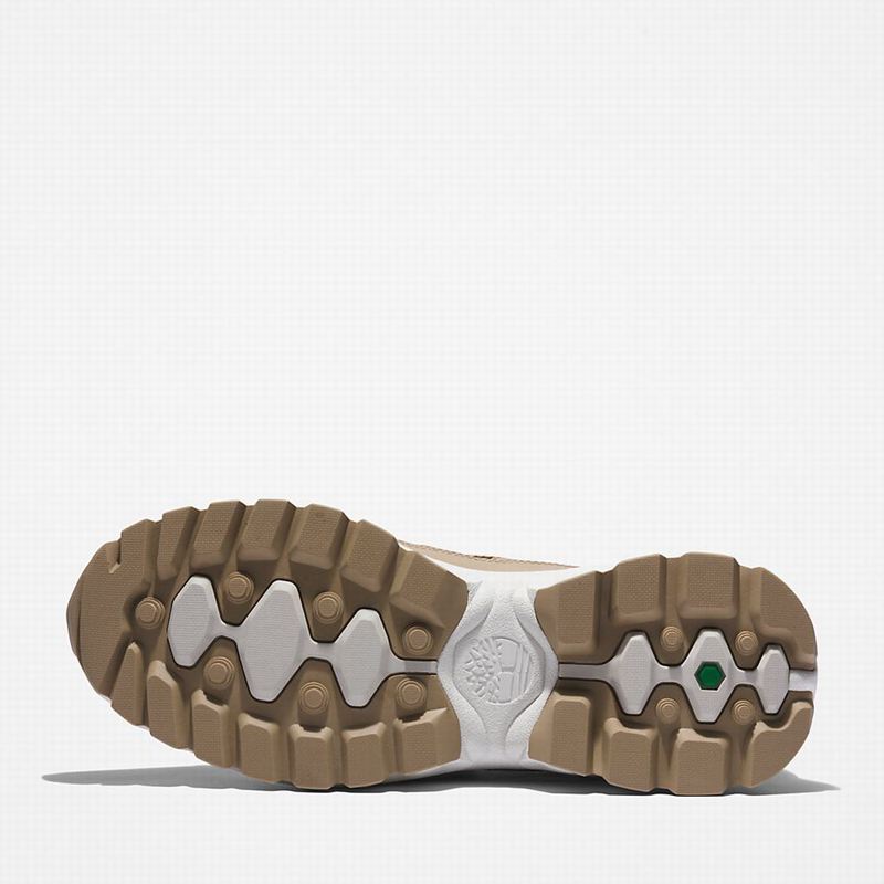 Timberland Edge EK+ Planinarske Cipele Bež | 13563910