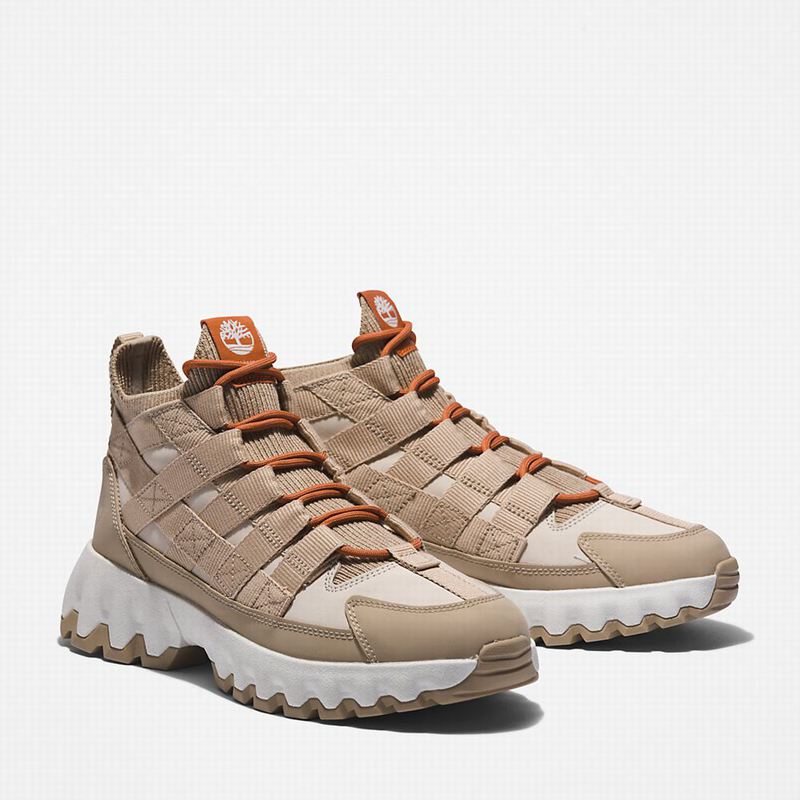 Timberland Edge EK+ Planinarske Cipele Bež | 13563910