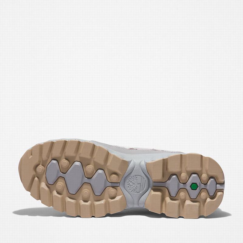 Timberland Edge EK+ Planinarske Cipele Sive | 94394528