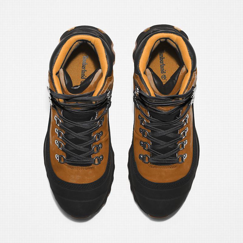 Timberland Edge World Planinarske Cipele Smeđe | 37653914