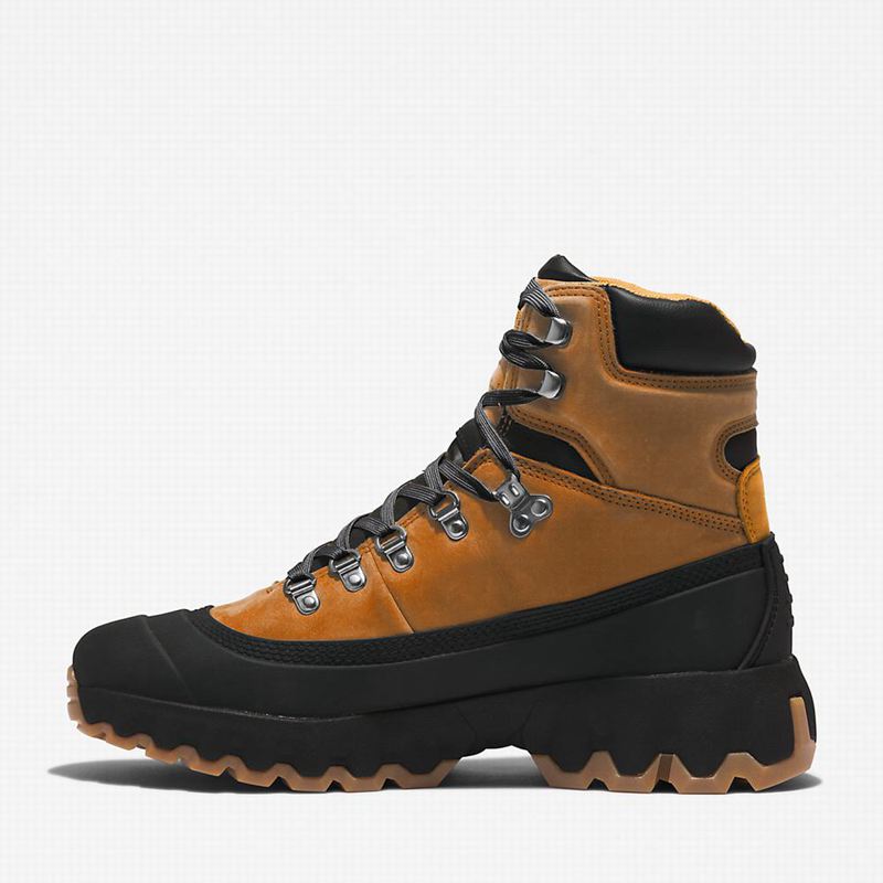 Timberland Edge World Planinarske Cipele Smeđe | 37653914