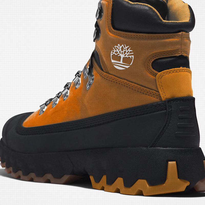 Timberland Edge World Planinarske Cipele Smeđe | 37653914