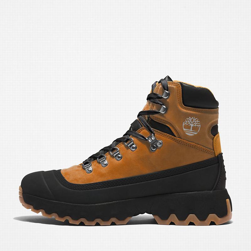 Timberland Edge World Planinarske Cipele Smeđe | 37653914