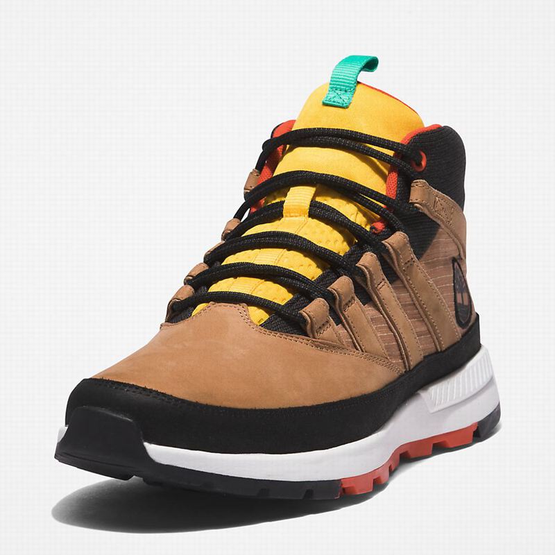 Timberland Euro Planinarske Cipele Bež | 90086982