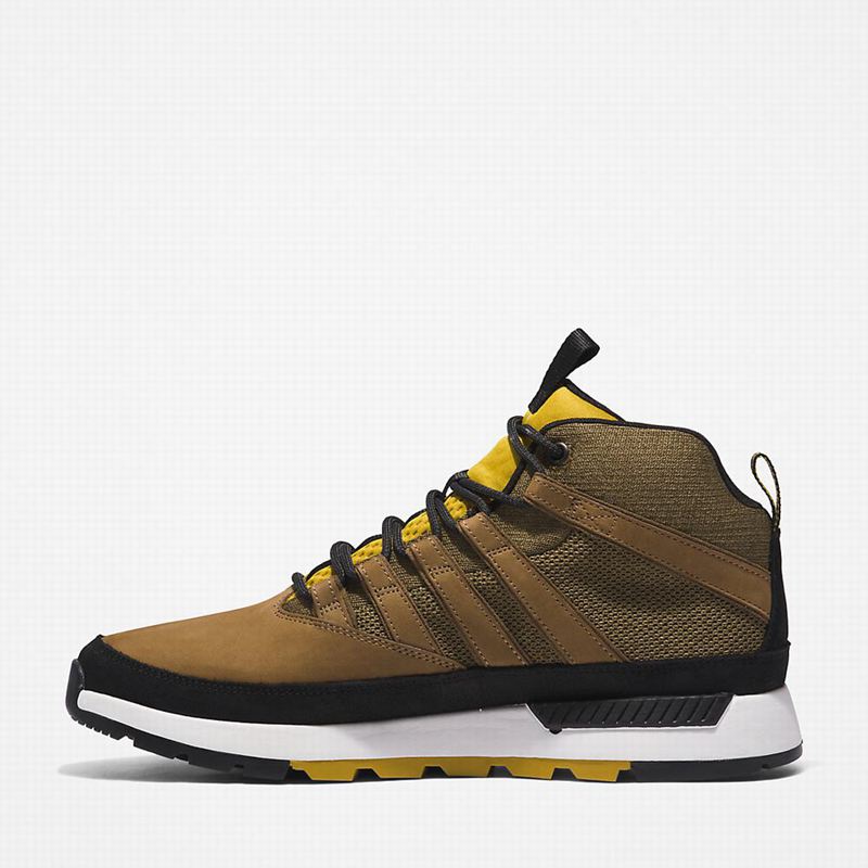 Timberland Euro Planinarske Cipele Maslinasto Zelene | 51578311