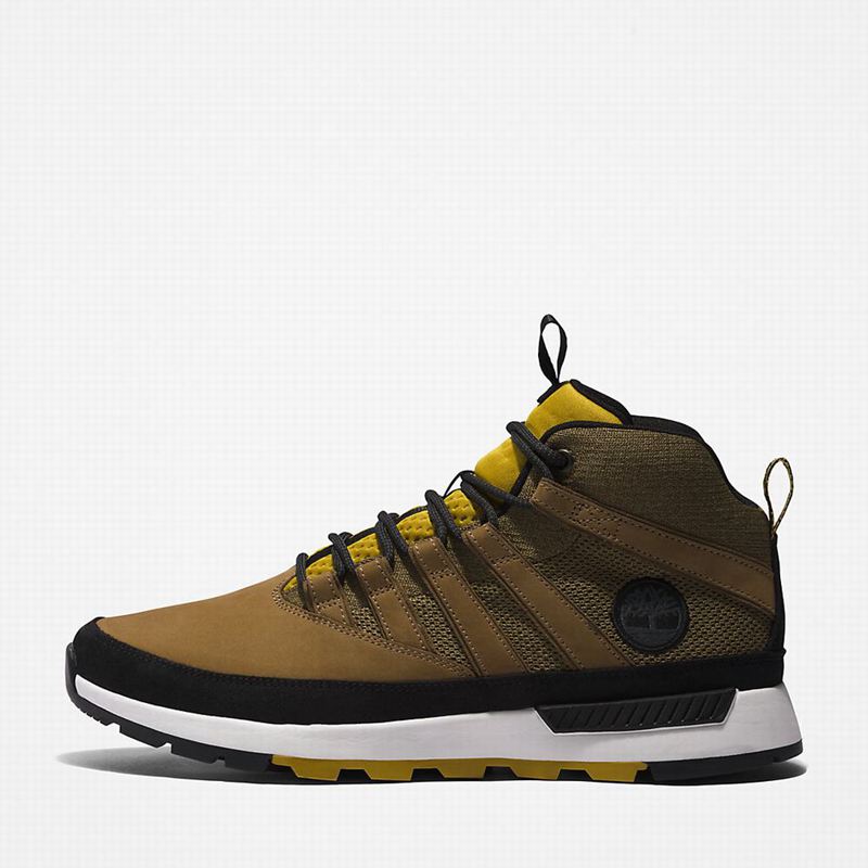 Timberland Euro Planinarske Cipele Maslinasto Zelene | 51578311