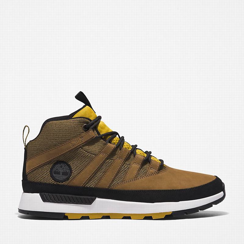 Timberland Euro Planinarske Cipele Maslinasto Zelene | 51578311