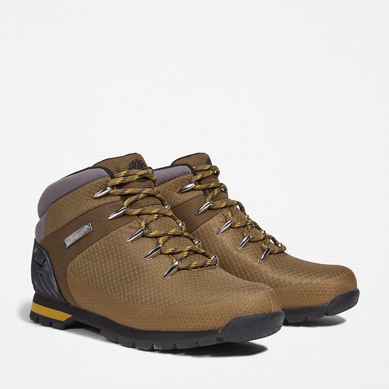 Timberland Euro Sprint Waterproof Planinarske Cipele Maslinasto Zelene | 70524266