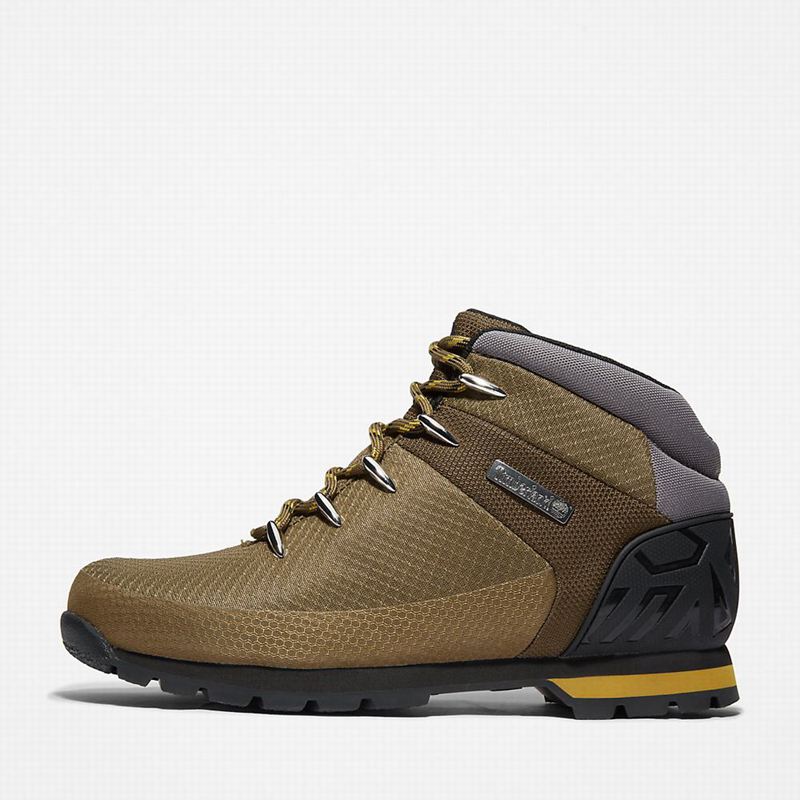 Timberland Euro Sprint Waterproof Planinarske Cipele Maslinasto Zelene | 70524266