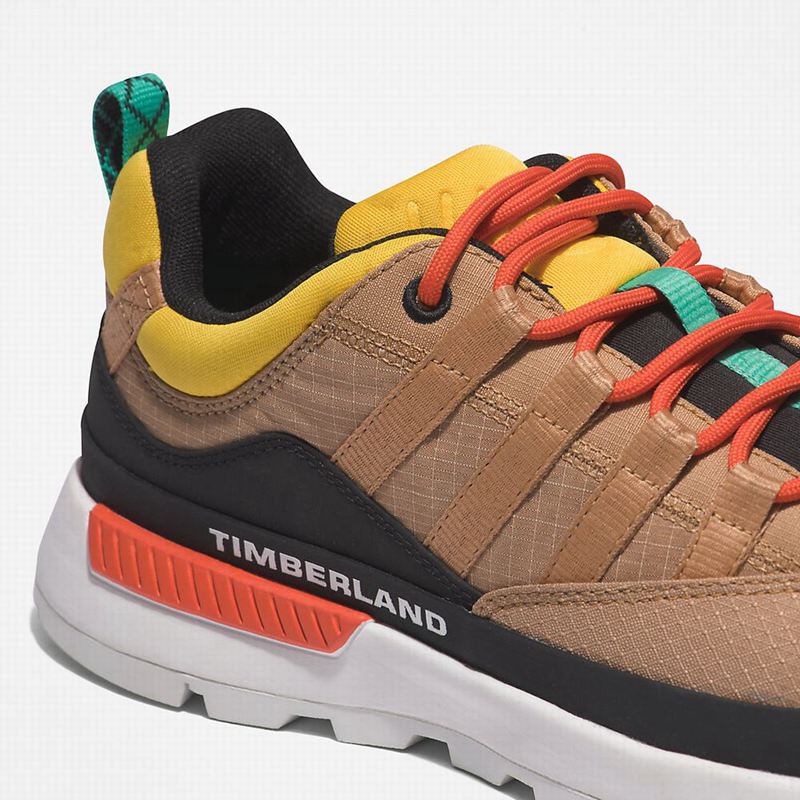 Timberland Euro Trekker Low Tenisice Bež | 62722314
