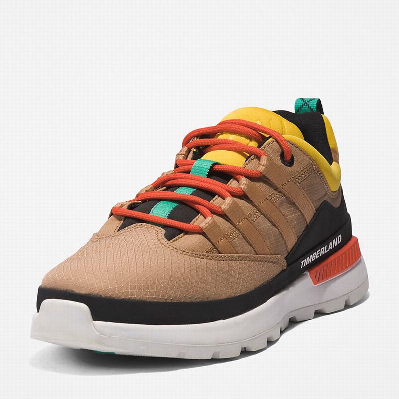 Timberland Euro Trekker Low Tenisice Bež | 62722314