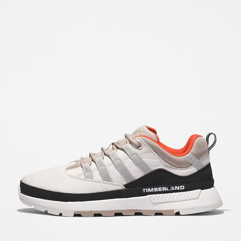 Timberland Euro Trekker Low Tenisice Bijele | 94657433