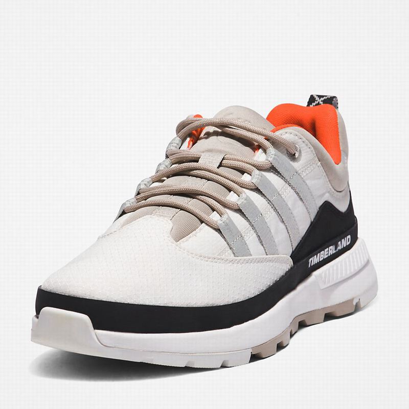 Timberland Euro Trekker Low Tenisice Bijele | 94657433