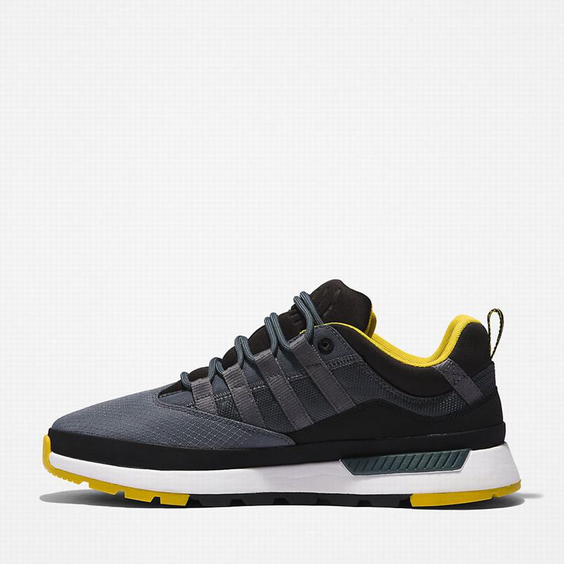 Timberland Euro Trekker Low Tenisice Sive | 56313932