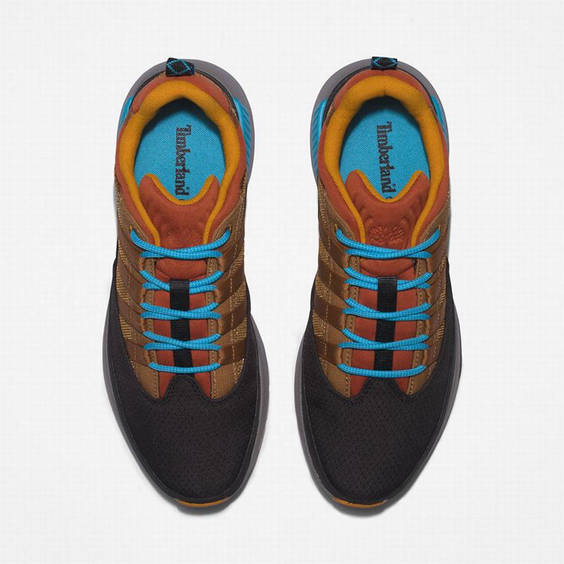 Timberland Euro Trekker Tenisice Narančaste | 20794058