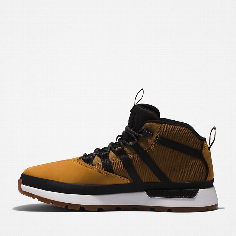 Timberland Euro Trekker Tenisice Žute | 9292357