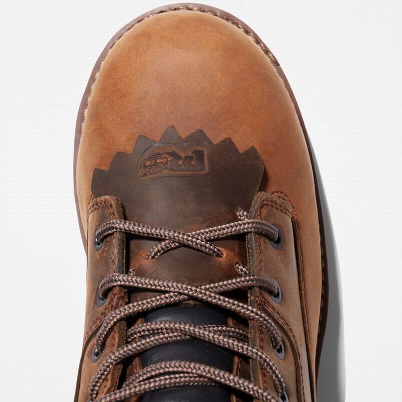 Timberland Evergreen Logger Composite Toe Waterproof Radne Čizme Žute | 73879648