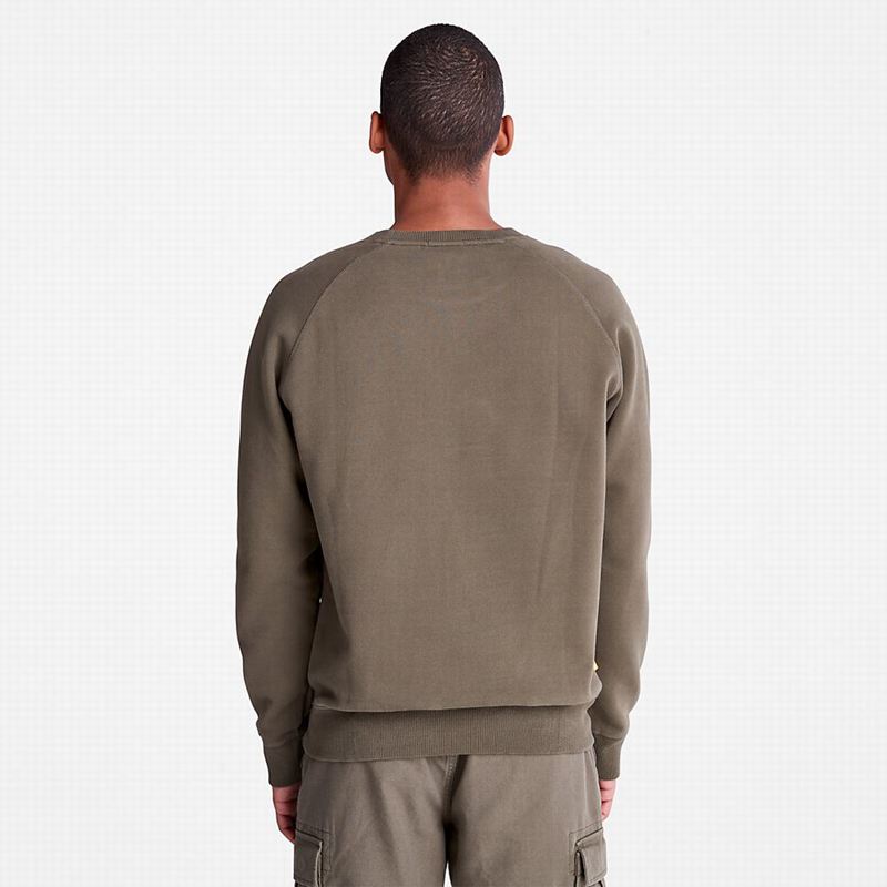 Timberland Exeter River Crewneck Dukserice Smeđe | 69742438