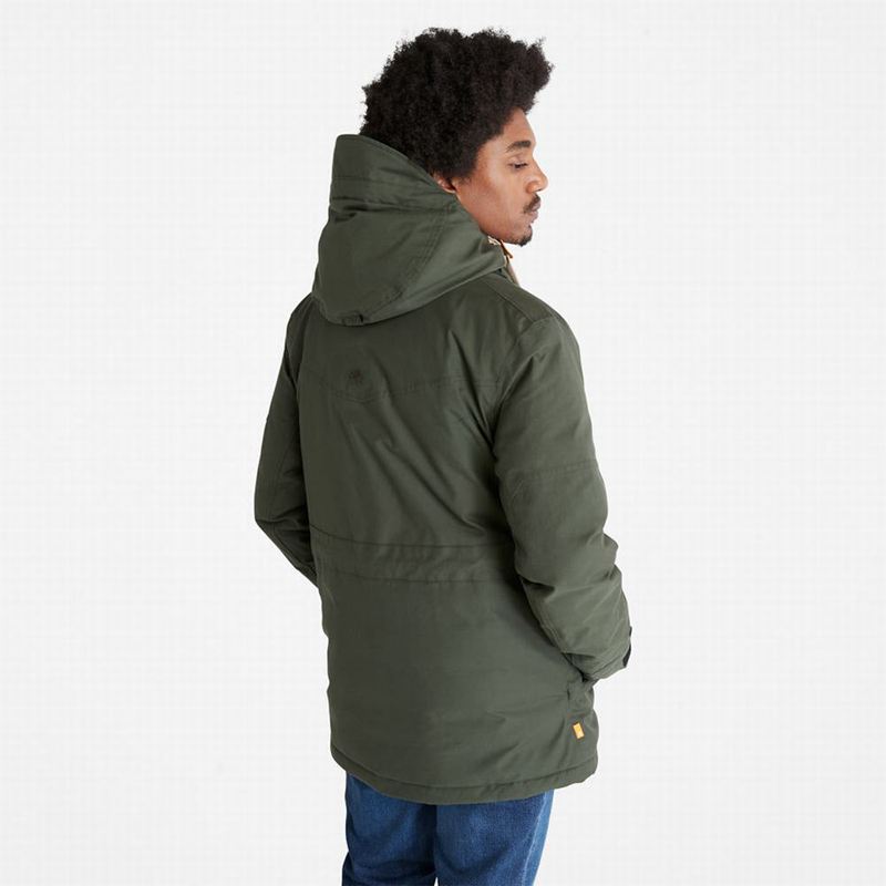 Timberland Expedition Field Parka Maslinasto Zelene | 46266803