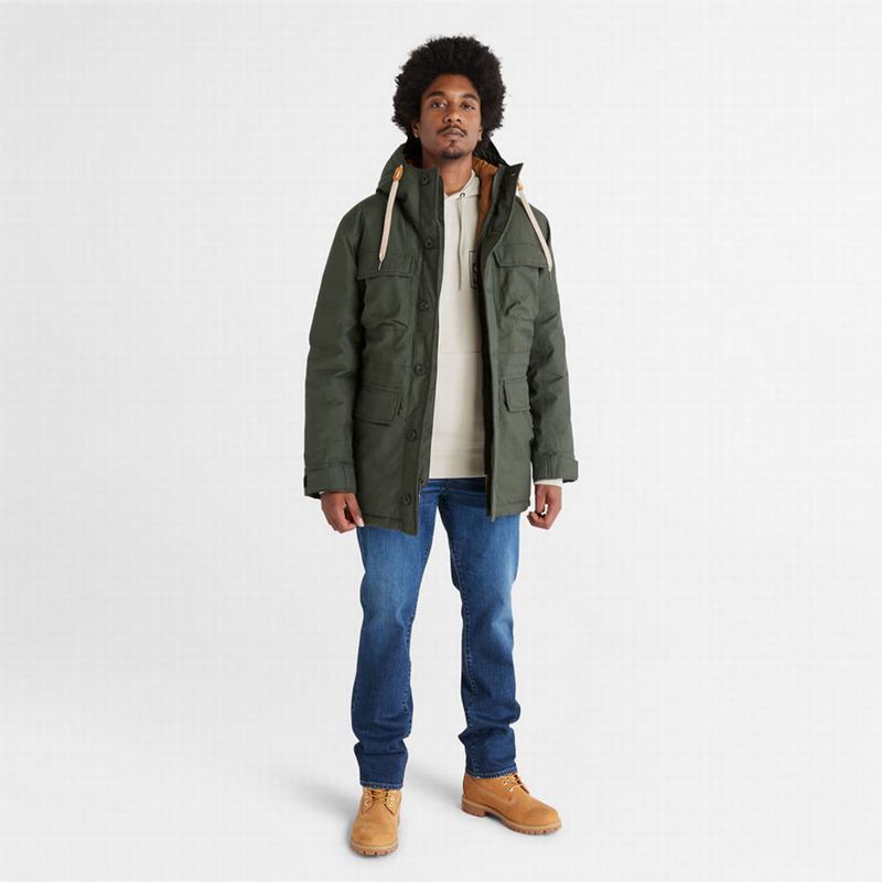 Timberland Expedition Field Parka Maslinasto Zelene | 46266803