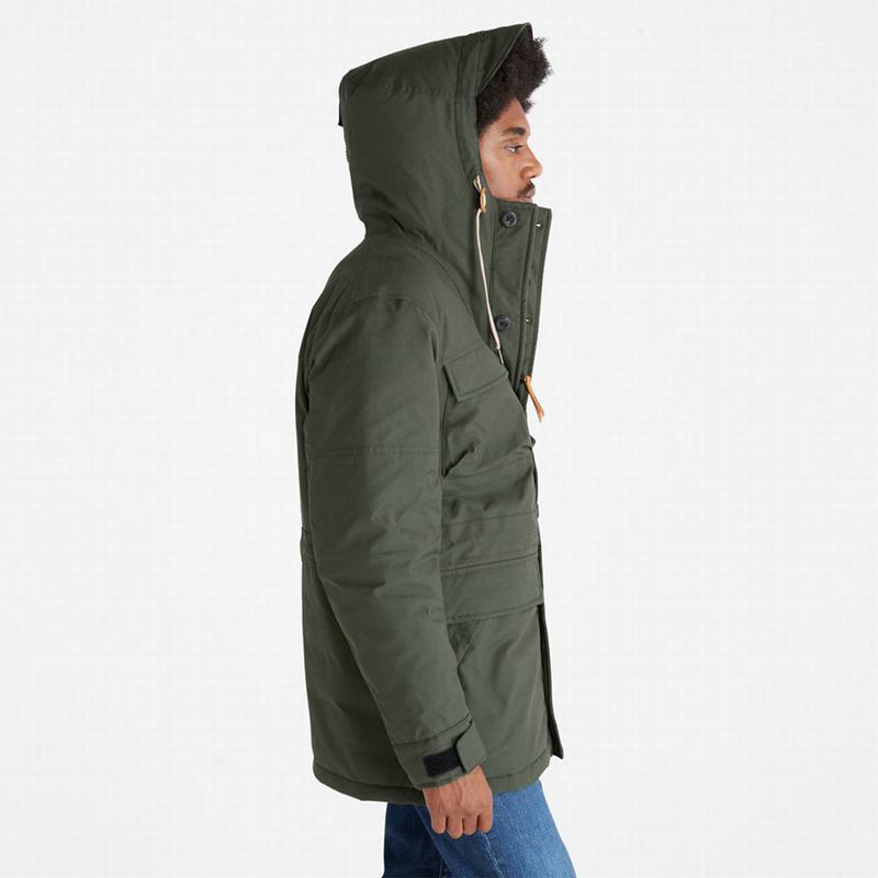 Timberland Expedition Field Parka Maslinasto Zelene | 46266803