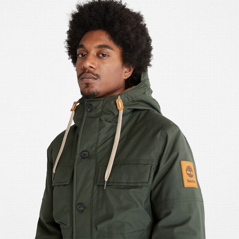 Timberland Expedition Field Parka Maslinasto Zelene | 46266803
