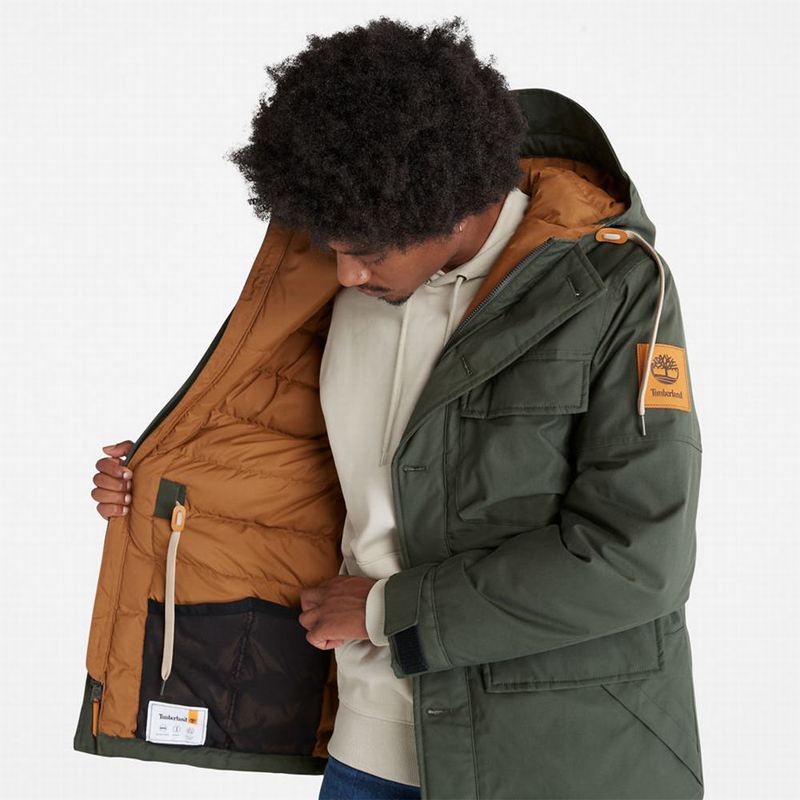 Timberland Expedition Field Parka Maslinasto Zelene | 46266803