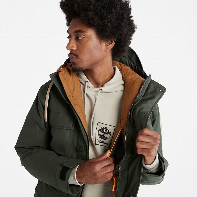Timberland Expedition Field Parka Maslinasto Zelene | 46266803