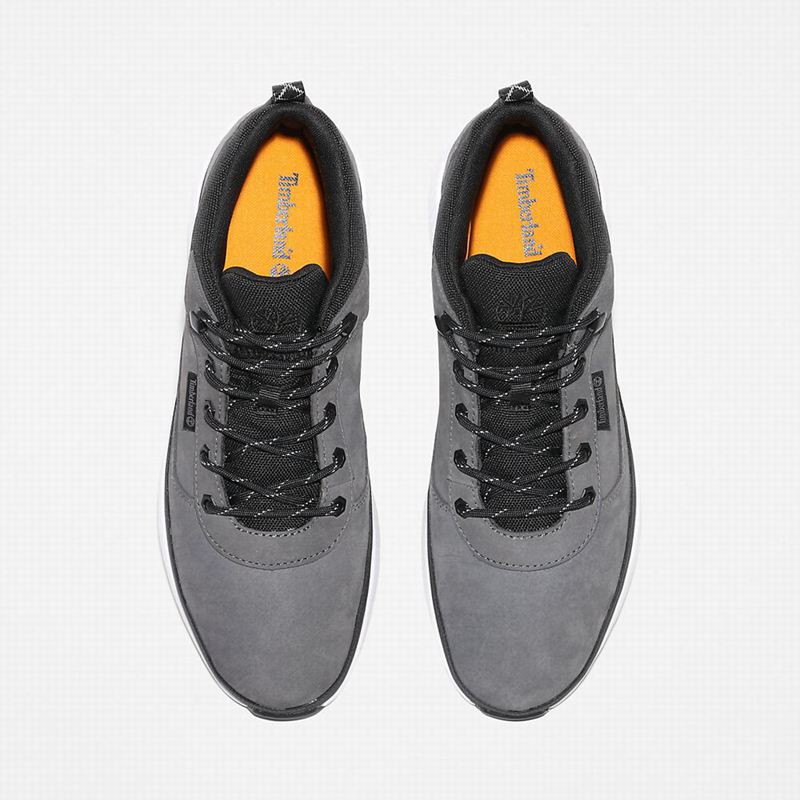 Timberland Field Low Planinarske Cipele Sive | 27679979
