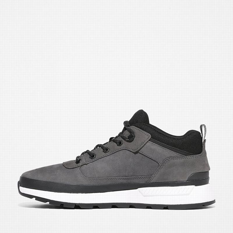 Timberland Field Low Planinarske Cipele Sive | 27679979