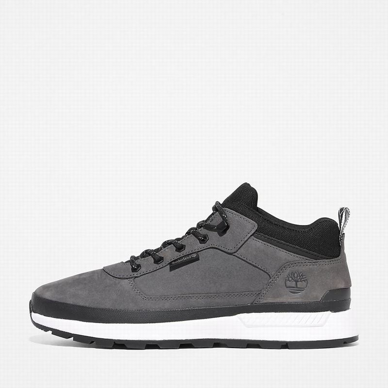 Timberland Field Low Planinarske Cipele Sive | 27679979