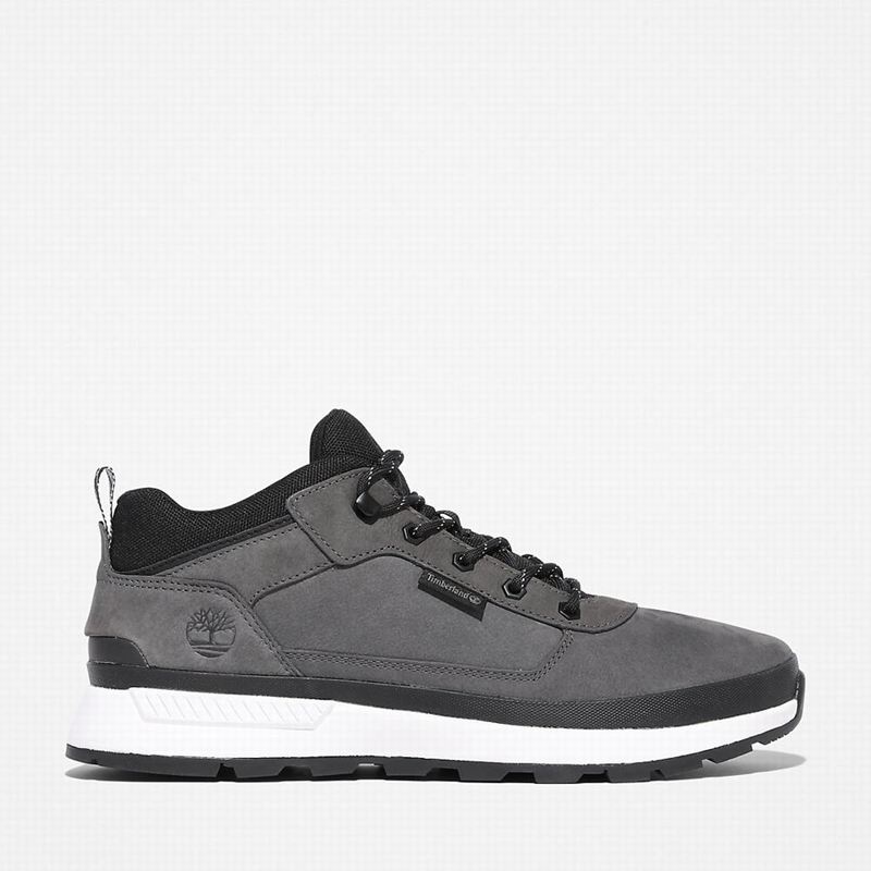 Timberland Field Low Planinarske Cipele Sive | 27679979