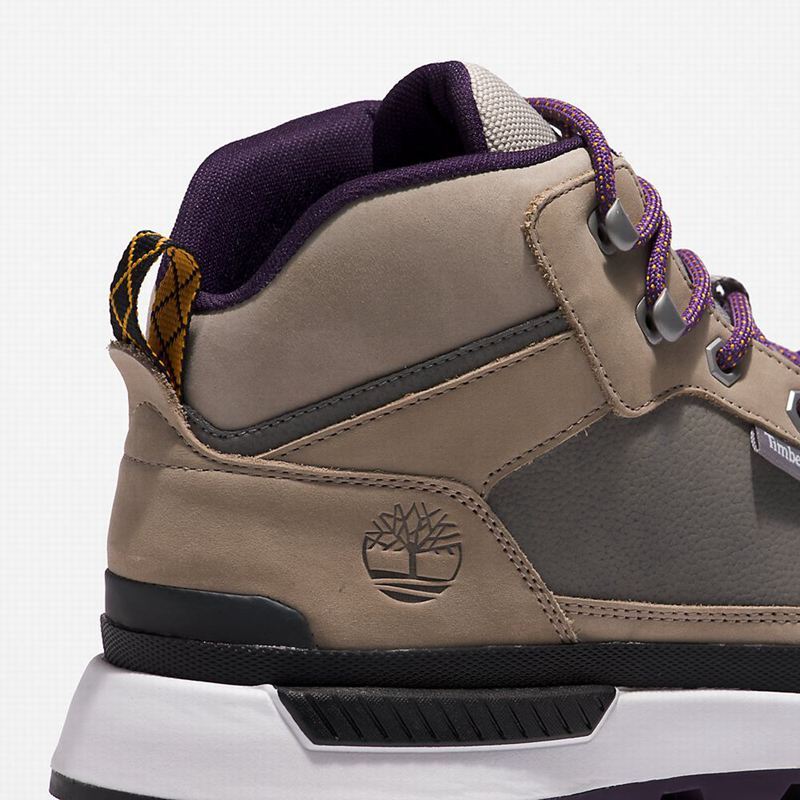 Timberland Field Mid Planinarske Cipele Bež | 57902152
