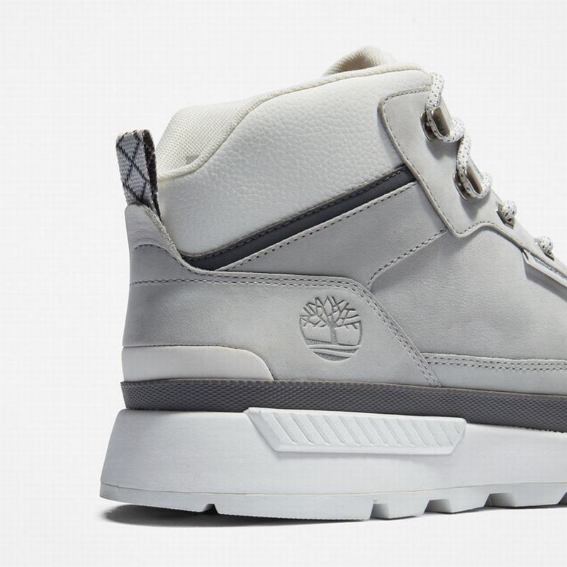 Timberland Field Planinarske Cipele Sive | 17247168
