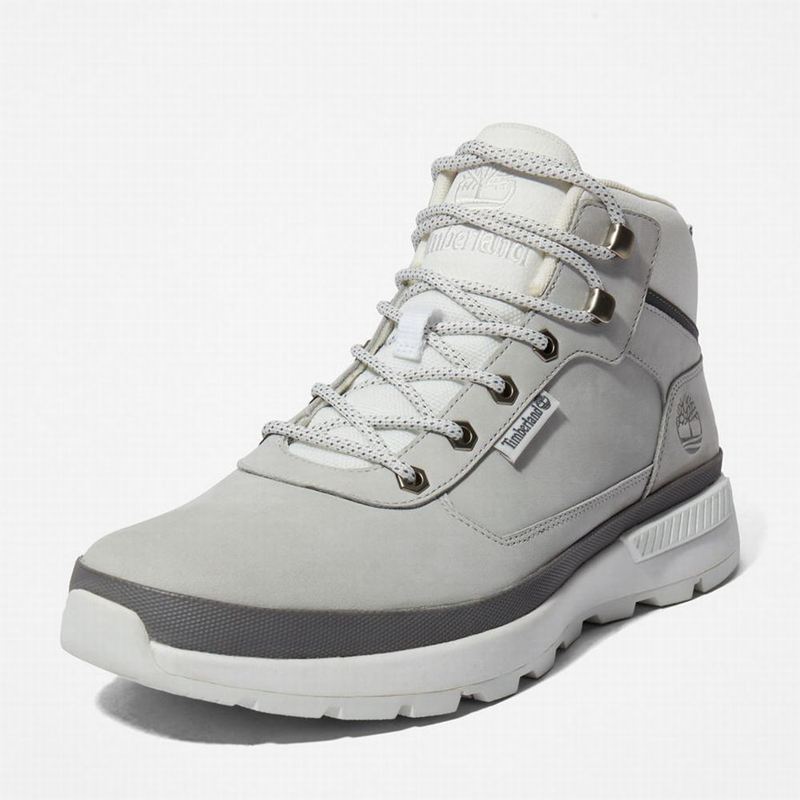 Timberland Field Planinarske Cipele Sive | 17247168
