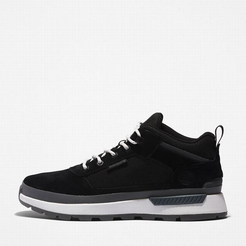 Timberland Field Planinarske Cipele Sive | 53500773